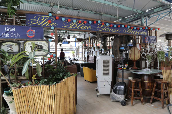 WHERE THE GOOSE IS BLUE, AND THE SKIES ARE GOLDEN Image